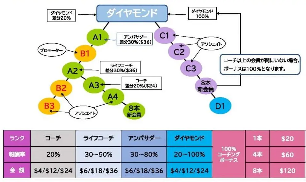 New U Life(ニューユーライフ)は詐欺か|口コミ・評判とその全貌